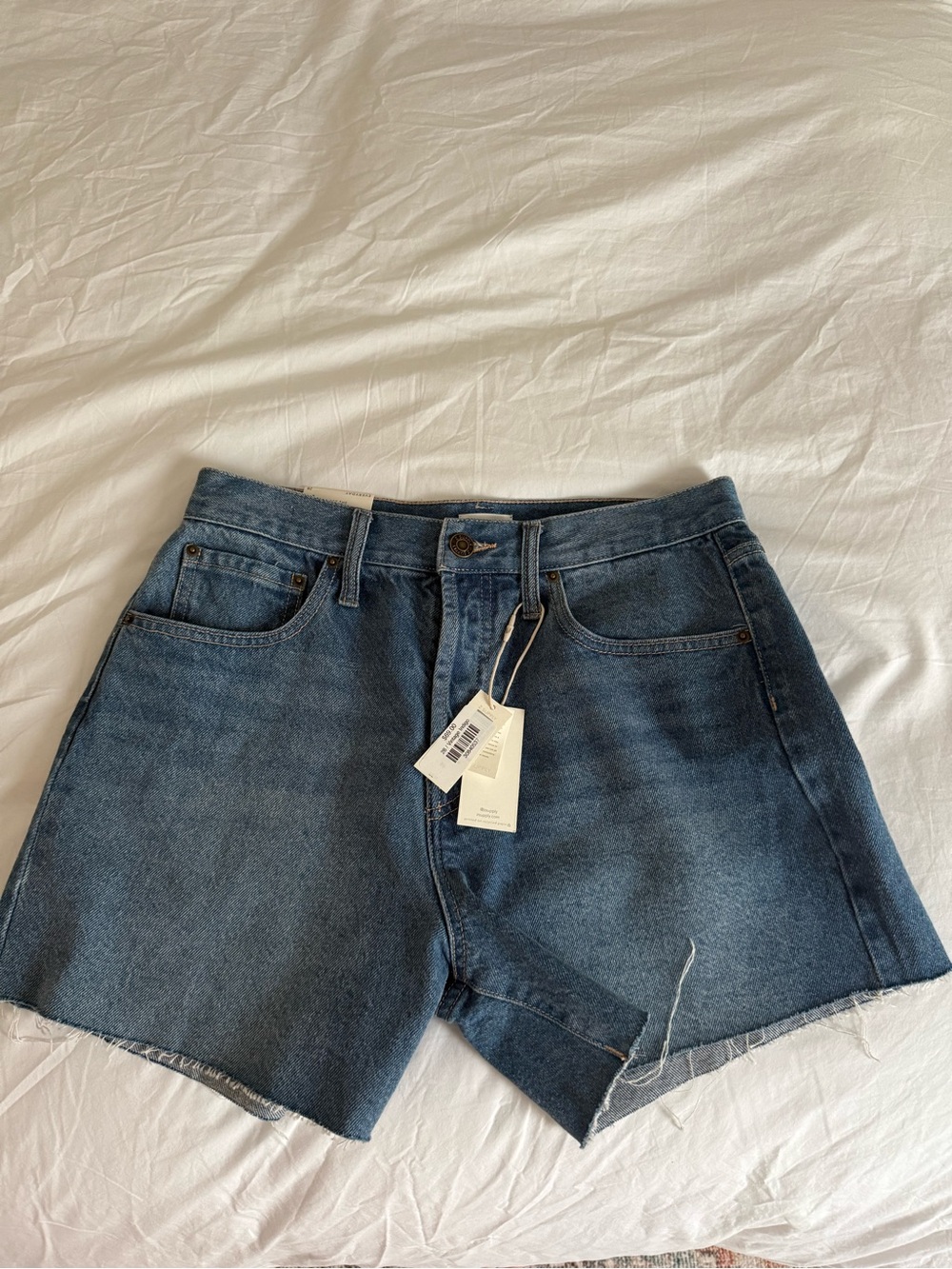 Z Supply Raw Hem Denim Shorts size 28